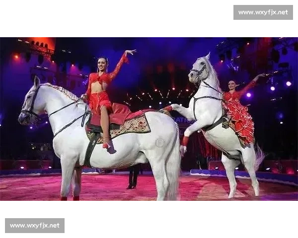 惊!钢丝上 “跑步”?迪达马戏场爆笑表演险象环生,危险动作切勿模仿! 惊!钢丝上 “跑步”?迪达马戏场爆笑表演险象环生,危险动作切勿模仿!